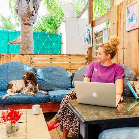 House Of Nissus بيت شباب *